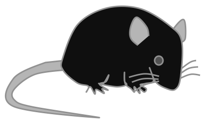 パワーポイントを使ってマウスのイラストを描く方法 生物系の英語プレゼンテーションのポイント